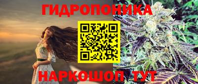 таблы Кингисепп